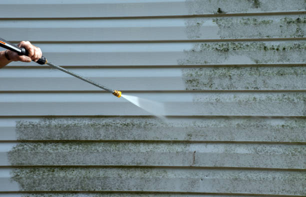 Best Local Pressure Washing Services  in Lake Cassidy, WA