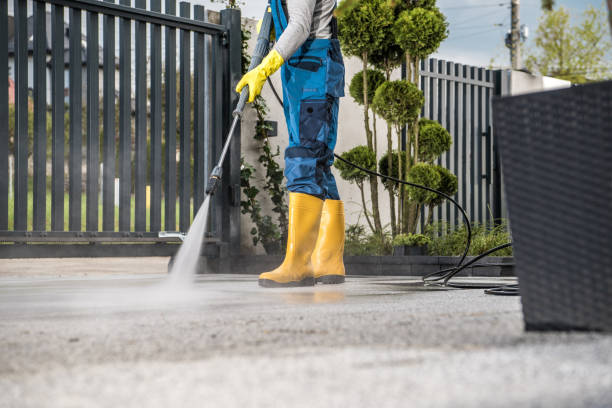 Best Residential Pressure Washing Services  in Lake Cassidy, WA