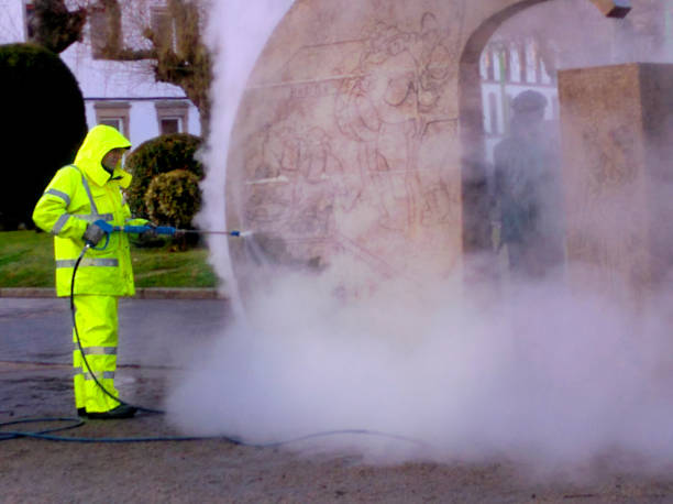 Best Residential Pressure Washing Services  in Lake Cassidy, WA
